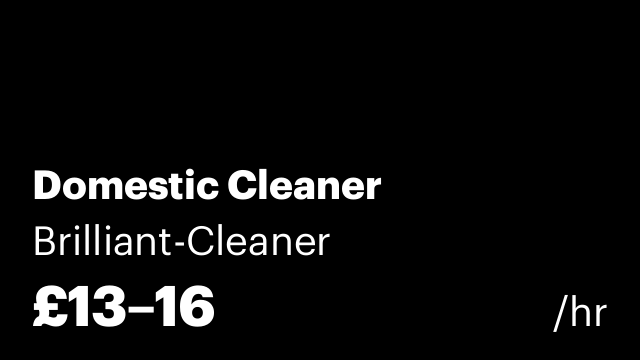 Domestic Cleaner