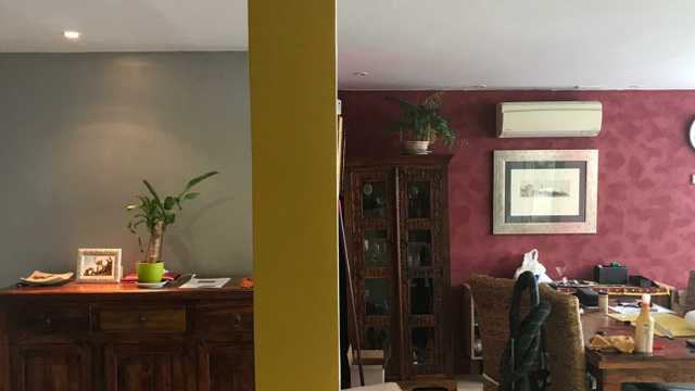 Ayudante de pintor / pintor