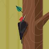 frede F. avatar icon