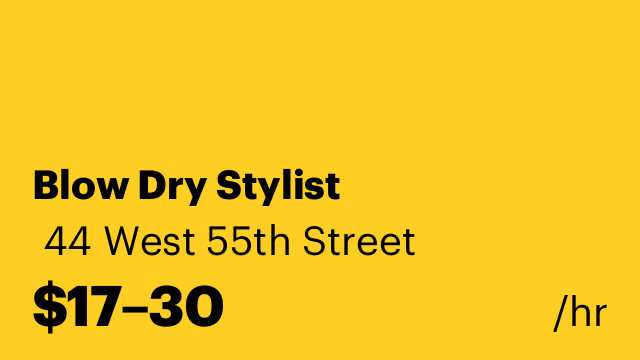 Blow Dry Stylist