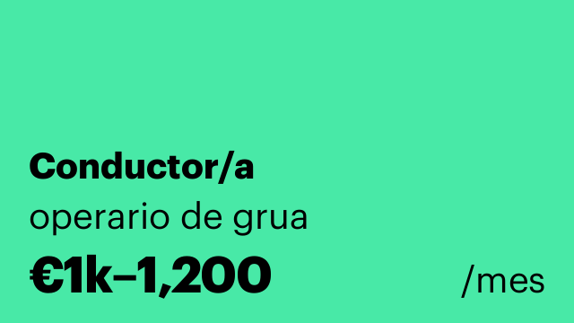Conductor/a