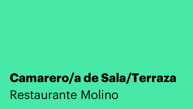 Camarero/a de Sala/Terraza