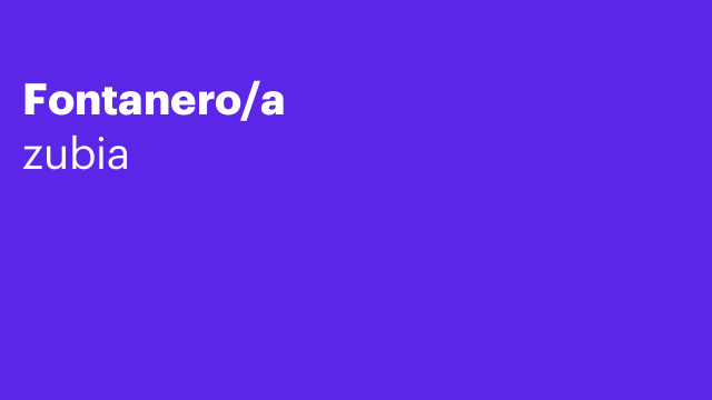 Fontanero/a