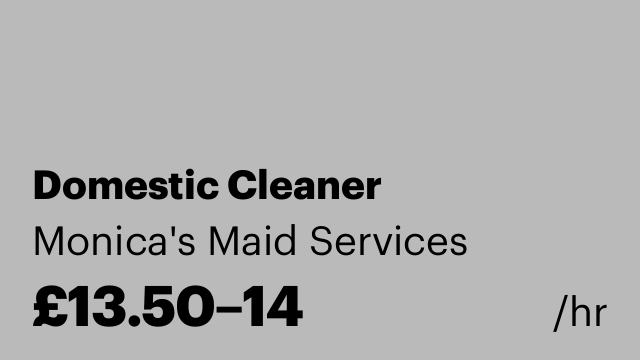 Domestic Cleaner