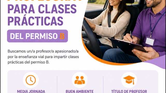 Profesor de formación viaria