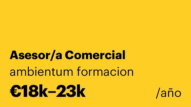 Asesor/a Comercial
