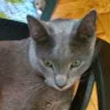 Inga O. avatar icon