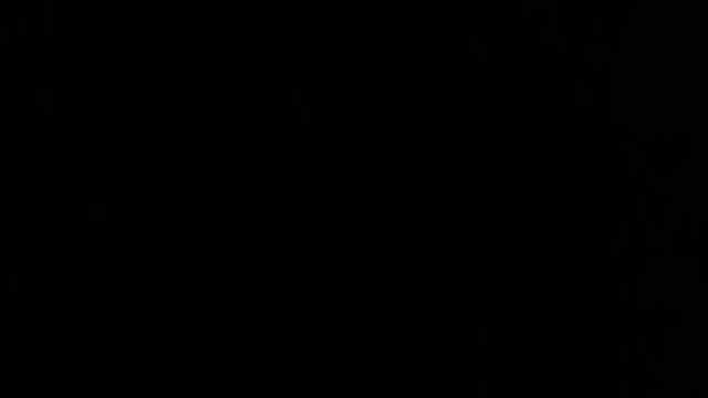 Jefe/a de Cocina y Cocinero