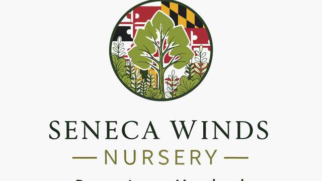 Business Operations Manager