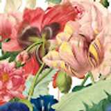Palais Flowers avatar icon
