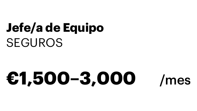 Jefe/a de Equipo