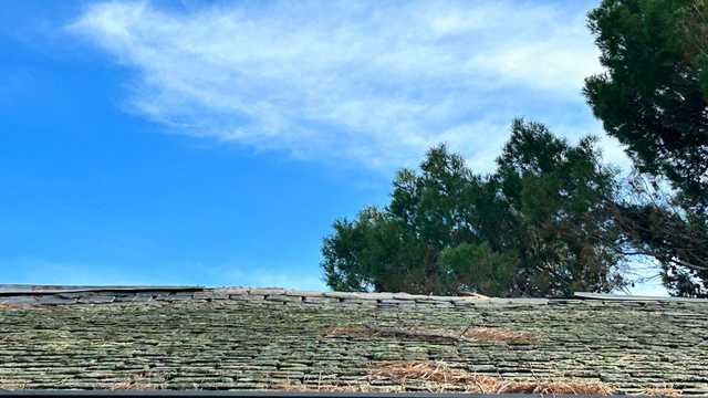 Comercial y Captador/a